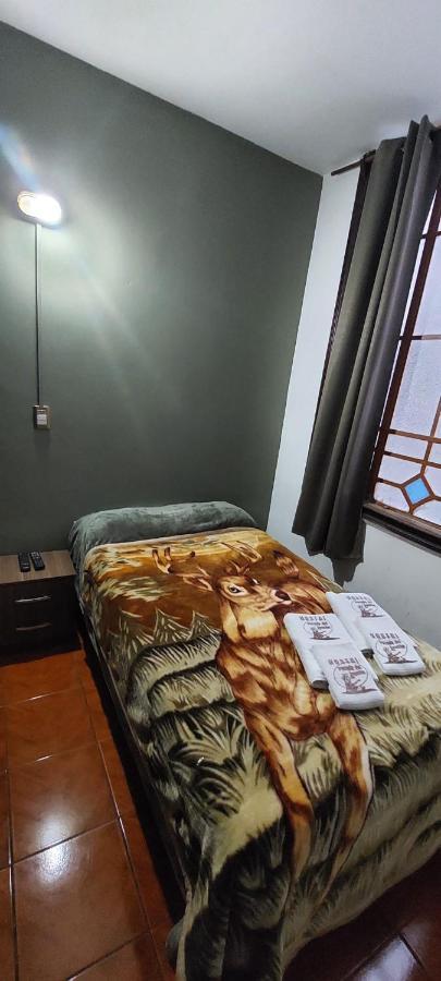 蒙得维的亚 Posada Del Gaucho旅舍 外观 照片