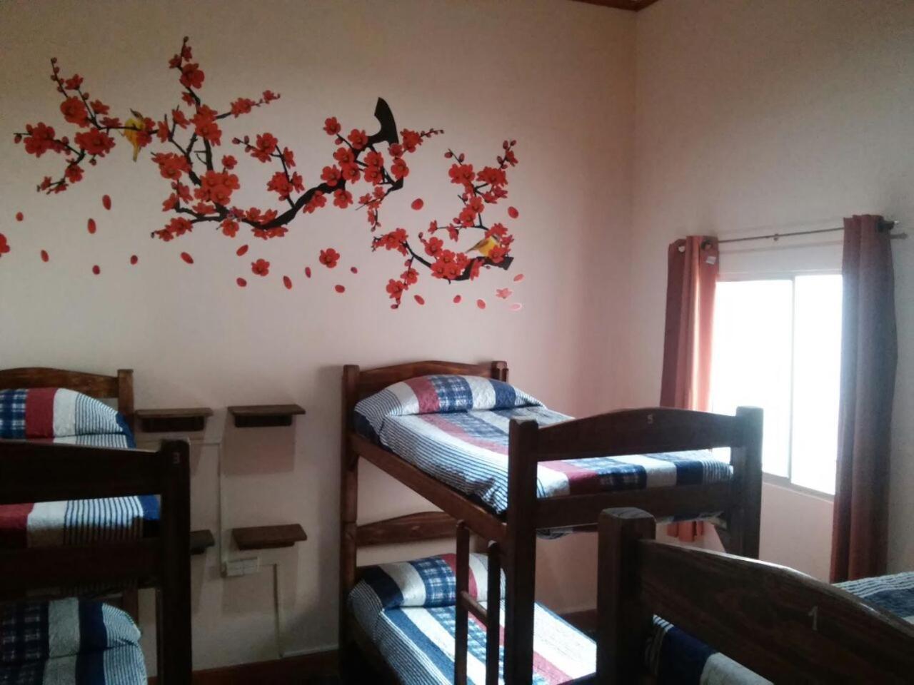 蒙得维的亚 Posada Del Gaucho旅舍 外观 照片